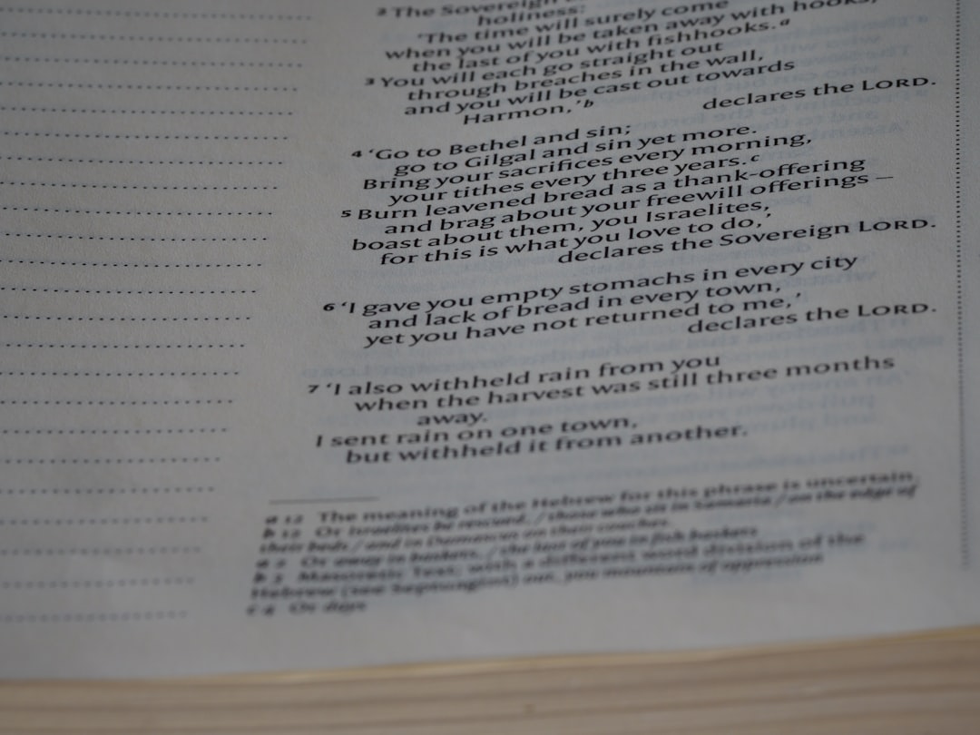 close up, bokeh, macro, blur, blurred background, close focus, bible, old testament, hebrew bible, christian, judaism, history, text, reading, bible study, devotions, text, NIV, New International Version, type, typography, canon, christianity, holy scripture, holy bible, scripture, old testament, hebrew bible, prophecy, exile, judgement, judgment, redemption, septuagint, destruction of jerusalem, restoration of israel, restoration, amos, minor prophets, jeroboam ii, kingdom of judah,